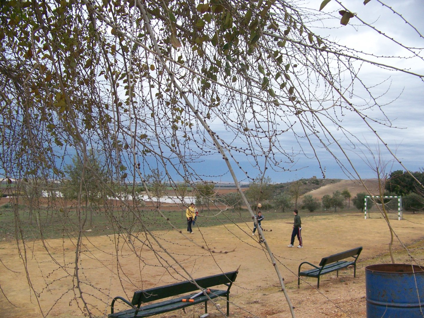 Finca · El Cuervo · 3 hab.