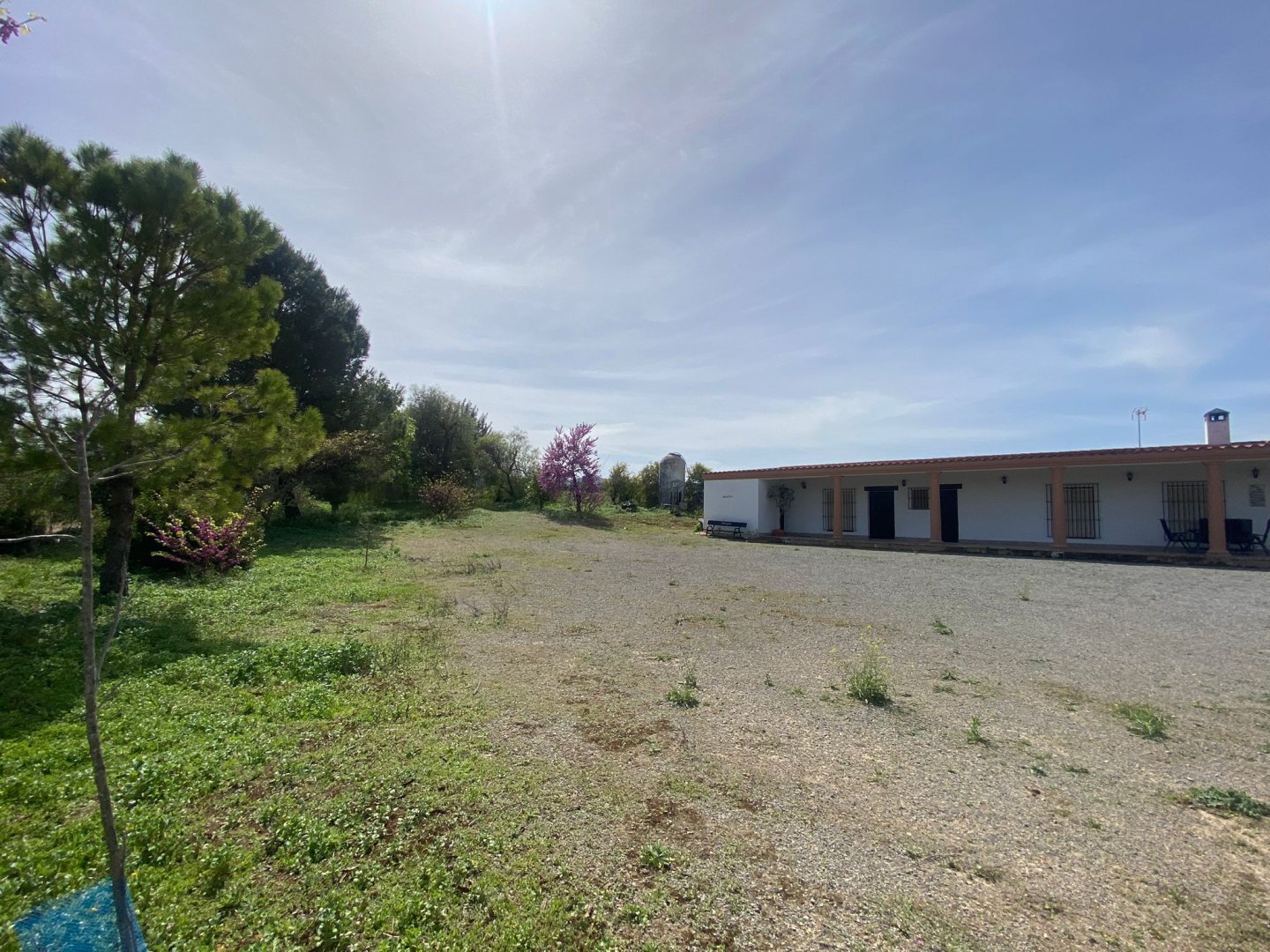 Finca · El Cuervo · 3 hab.