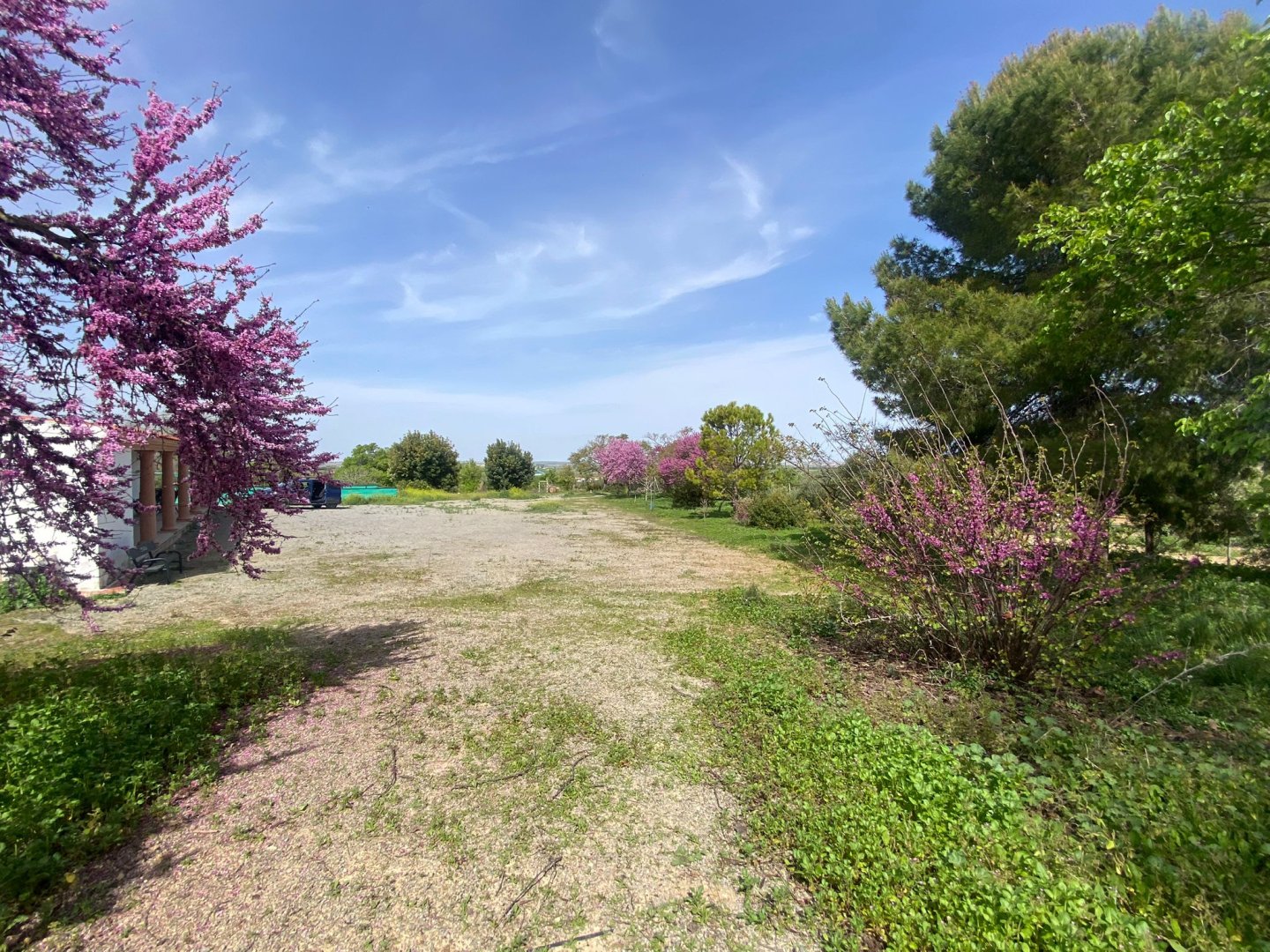 Finca · El Cuervo · 3 hab.