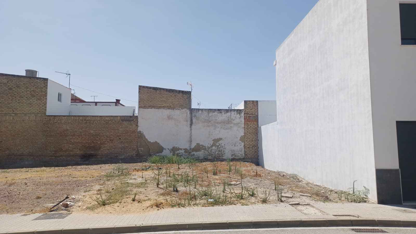 Solar · El Cuervo