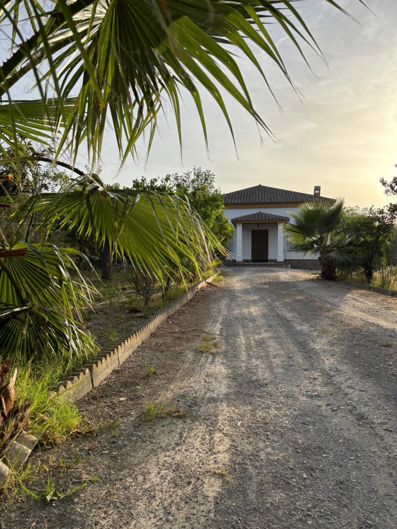 Finca · Las Cabezas de San Juan · 2 hab.