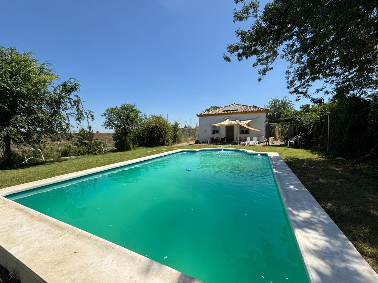 Finca · Las Cabezas de San Juan · 2 hab.